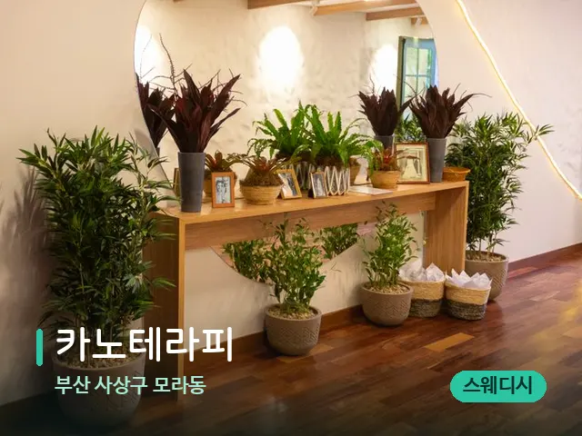 부산 사상구 모라동 카노테라피 — 데이 스파 인테리어